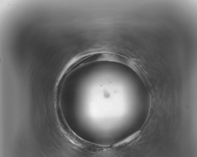 X0000067490056200604101306