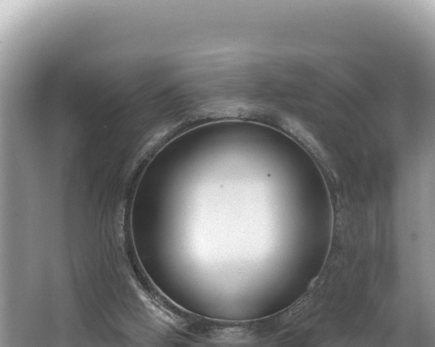 X0000067490058200604101306