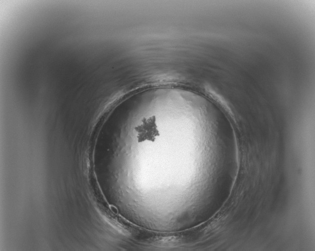 X0000067490059200604101306