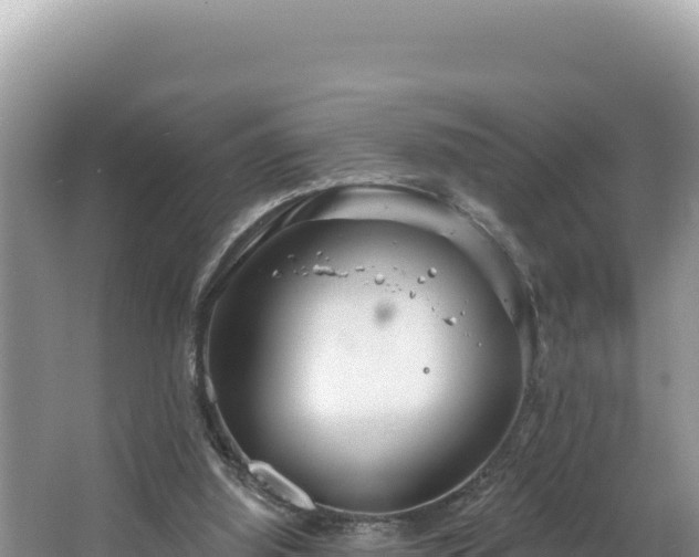 X0000067490060200604101306