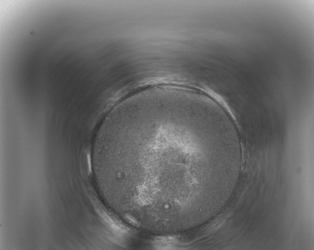 X0000067490061200604101306