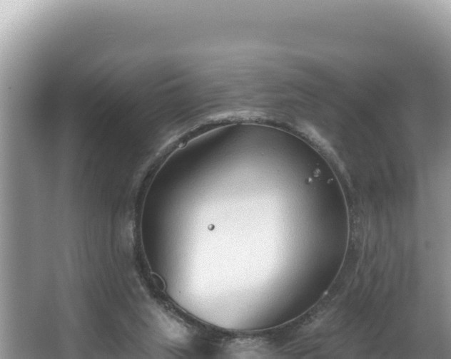 X0000067490063200604101306