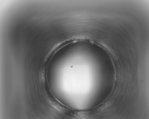 X0000067490064200604101306