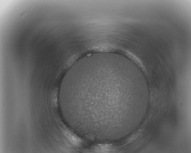 X0000067490065200604101306