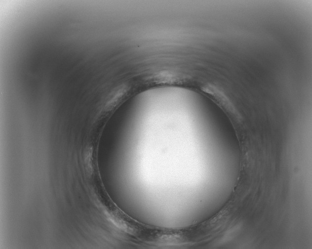 X0000067490066200604101306