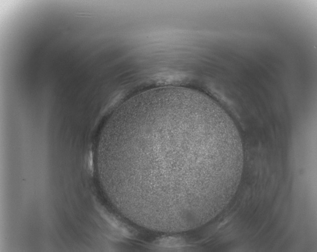 X0000067490067200604101306