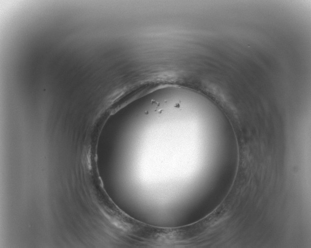 X0000067490068200604101306