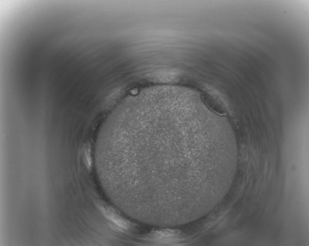 X0000067490069200604101306