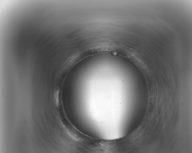 X0000067490070200604101306