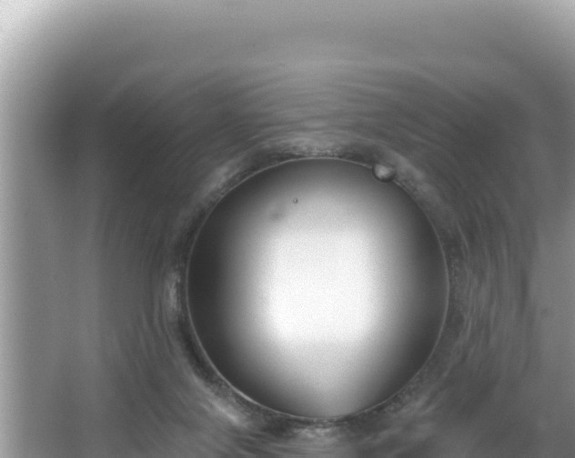 X0000067490071200604101306