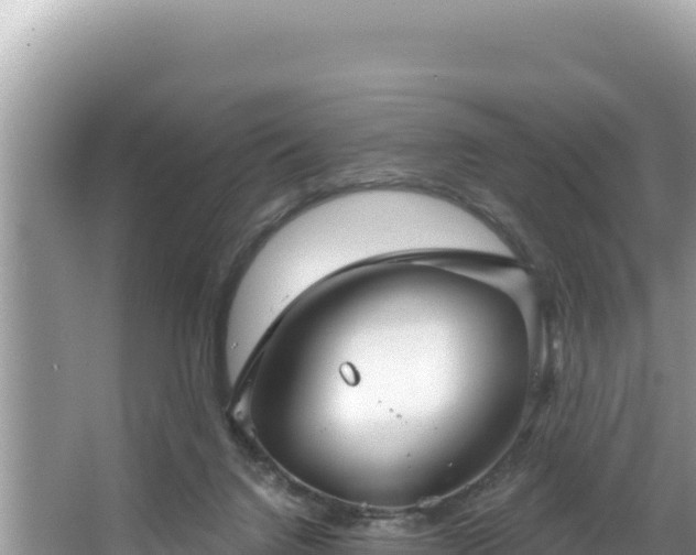 X0000067490072200604101306