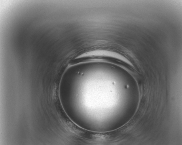 X0000067490073200604101306