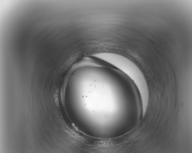 X0000067490077200604101306