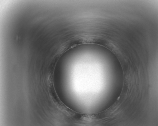 X0000067490079200604101306