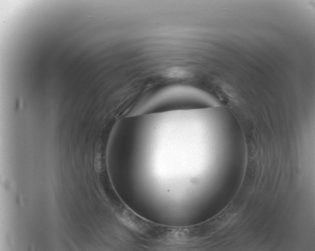 X0000067490080200604101306