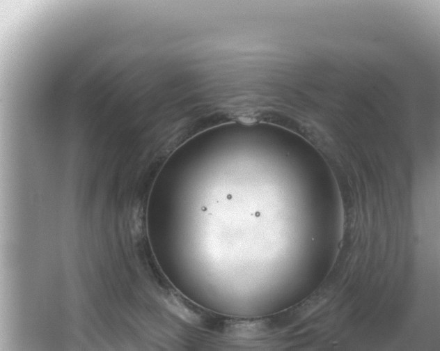 X0000067490081200604101306