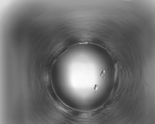 X0000067490084200604101306