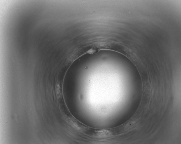 X0000067490087200604101306