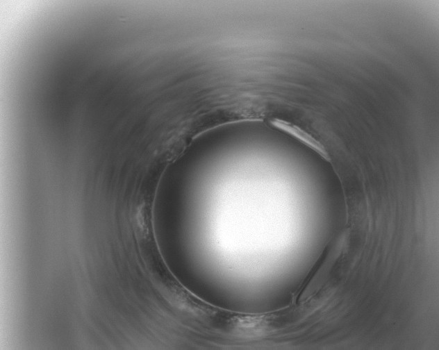 X0000067490088200604101306