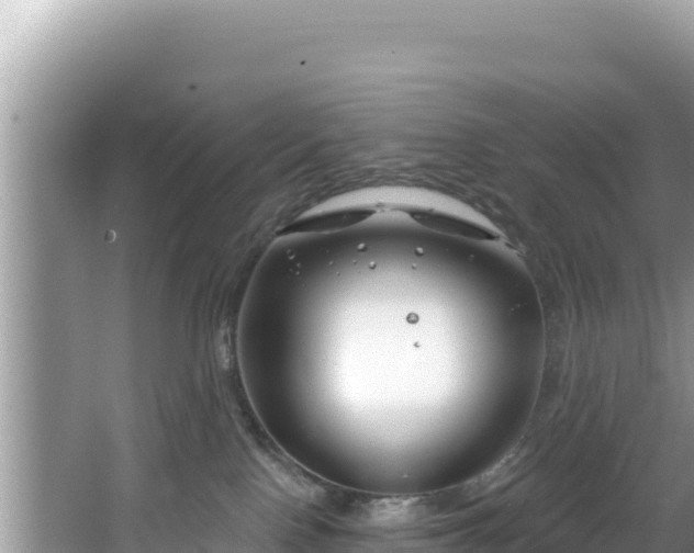 X0000067490090200604101306