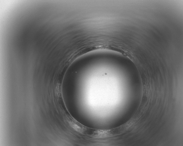 X0000067490093200604101306