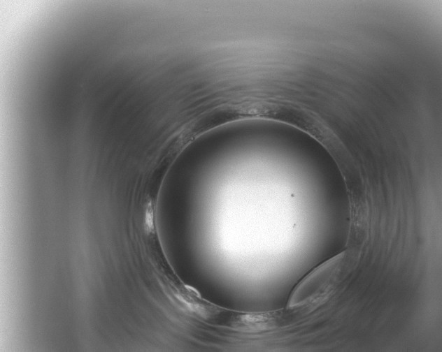 X0000067490095200604101306