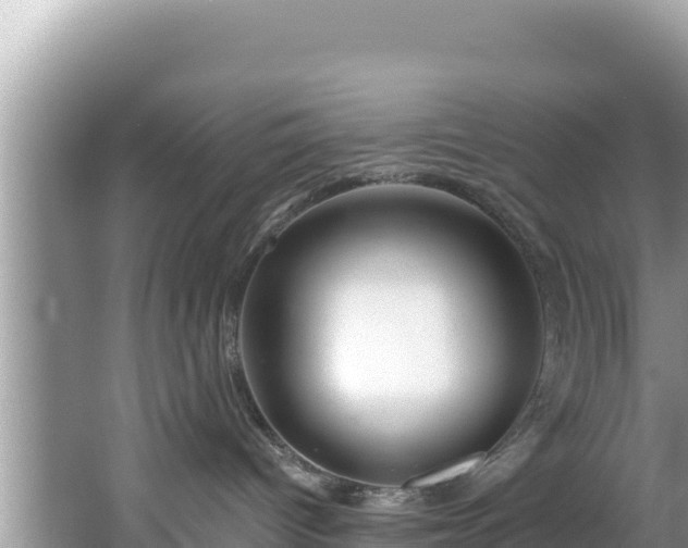 X0000067490096200604101306