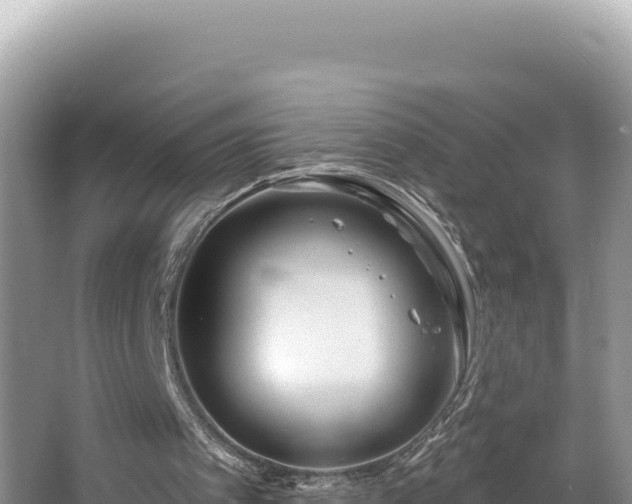 X0000067490097200604101306