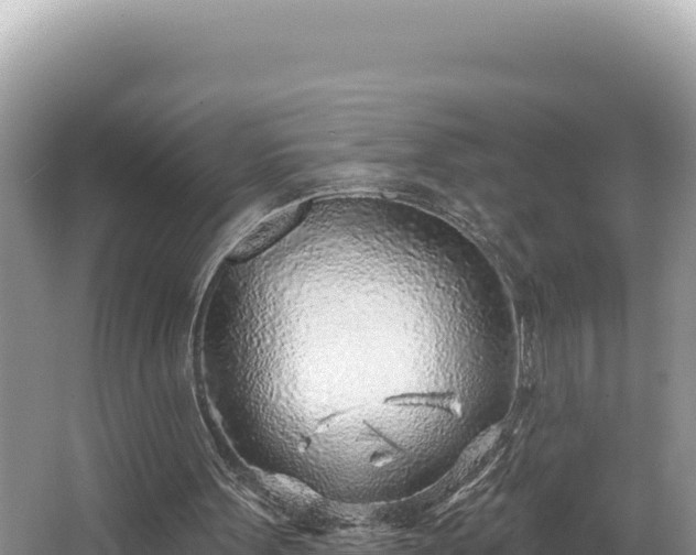 X0000067490099200604101306