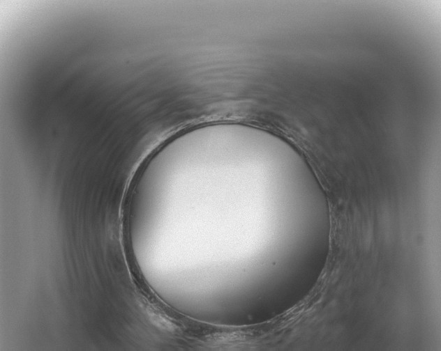 X0000067490100200604101306