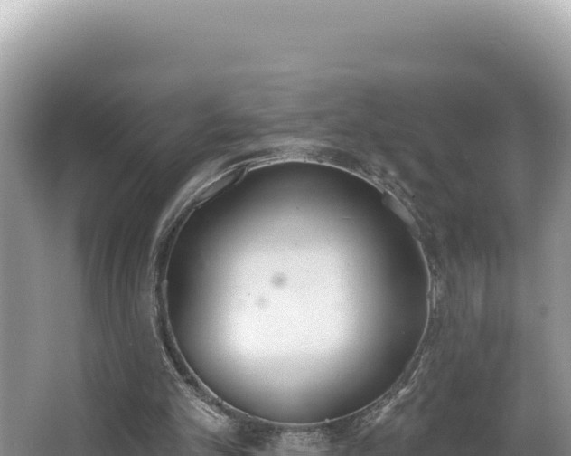 X0000067490101200604101305