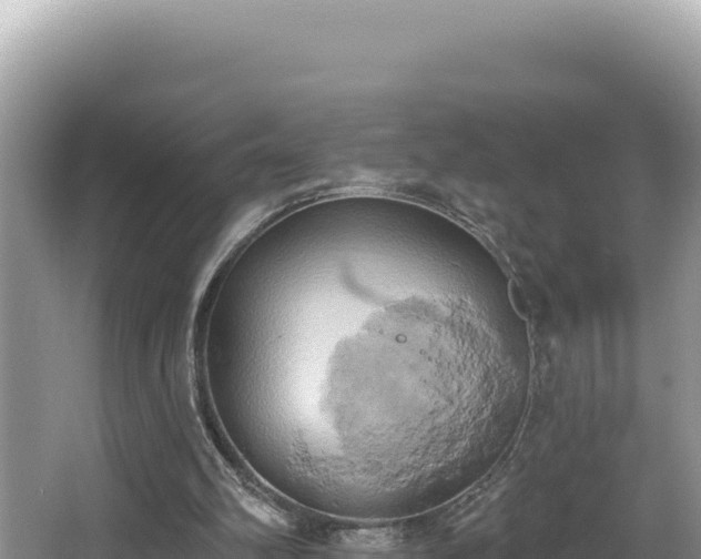 X0000067490102200604101305