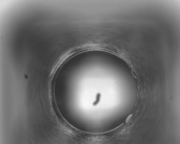 X0000067490103200604101305