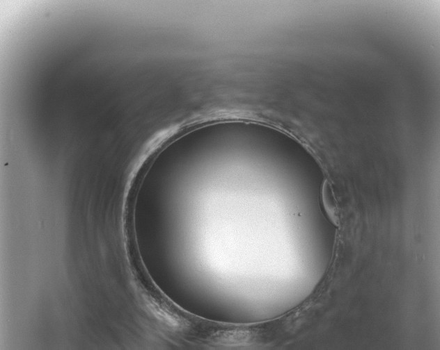 X0000067490104200604101305