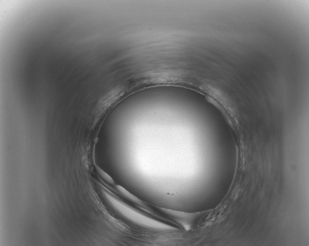 X0000067490105200604101305