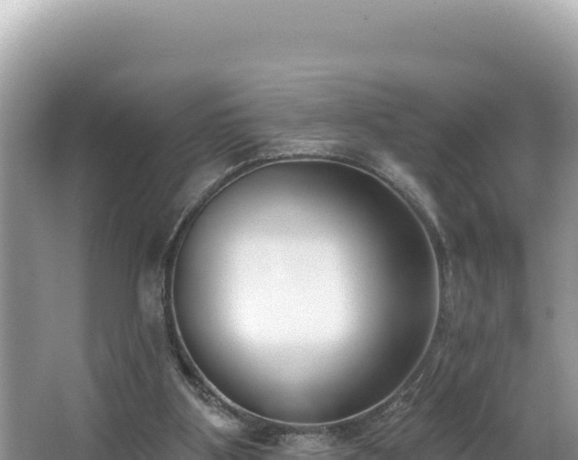 X0000067490107200604101305