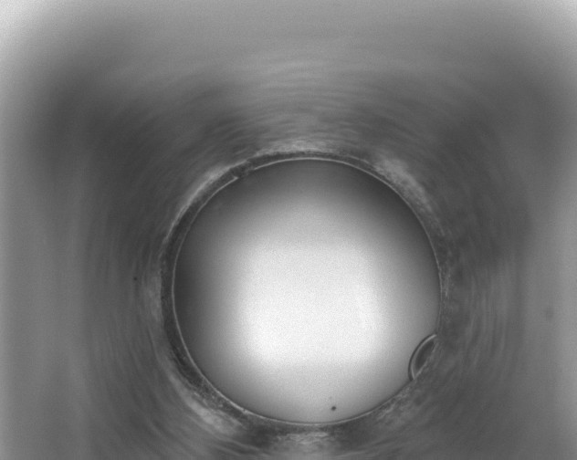 X0000067490108200604101305