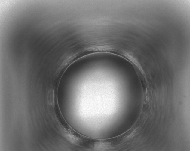 X0000067490109200604101305