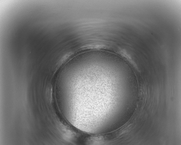 X0000067490110200604101305