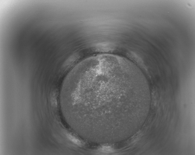 X0000067490114200604101305