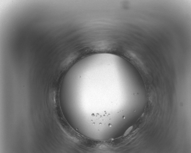 X0000067490115200604101305