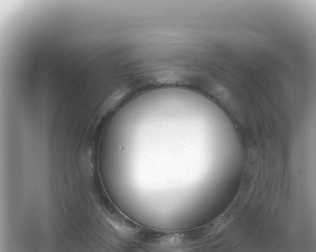 X0000067490116200604101305