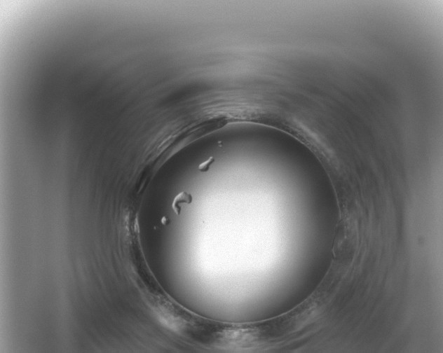 X0000067490117200604101305