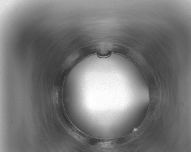 X0000067490120200604101305