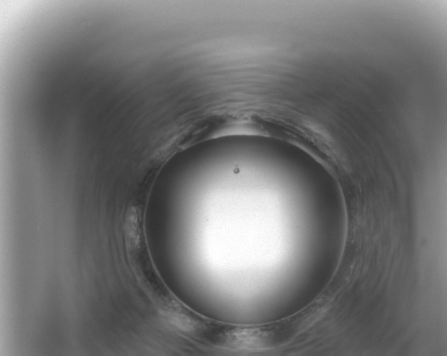 X0000067490121200604101305