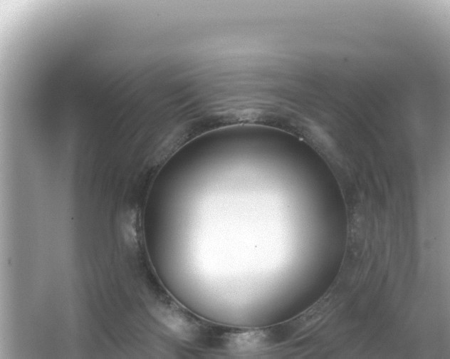 X0000067490122200604101305