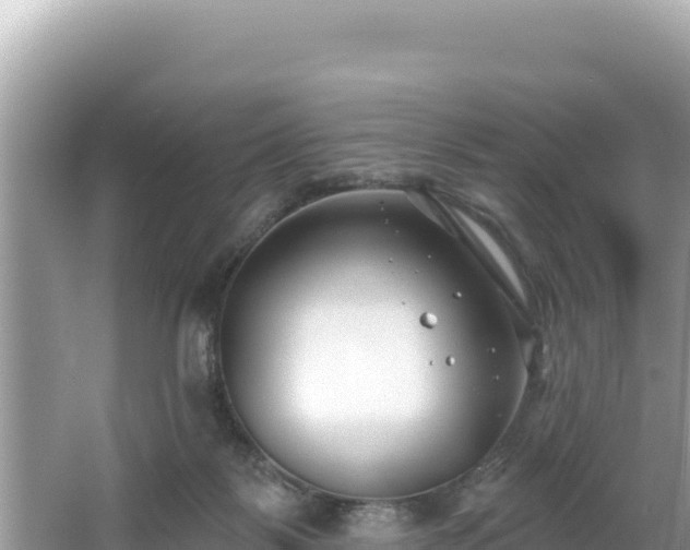 X0000067490123200604101305