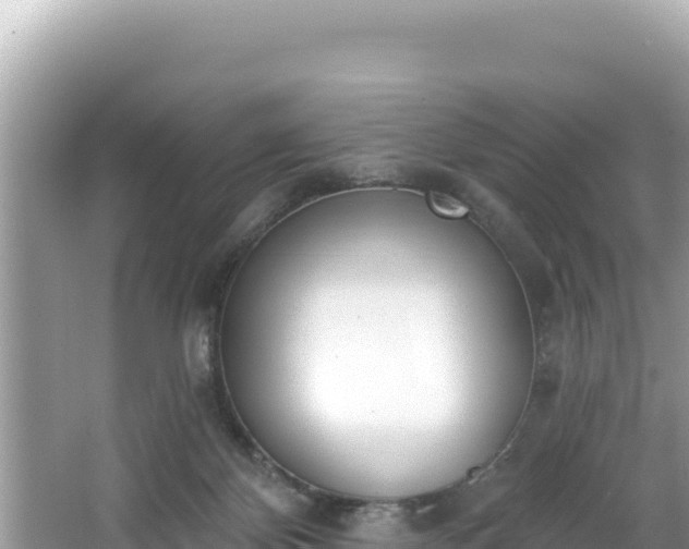 X0000067490124200604101305