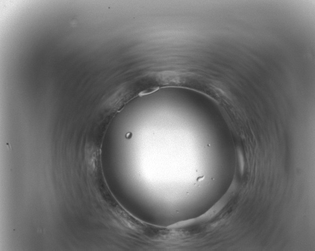 X0000067490125200604101305