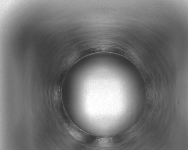 X0000067490126200604101305